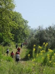 NordicWalkingOlivi_2013_1