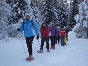 ciaspolate_trentino_2013_pino